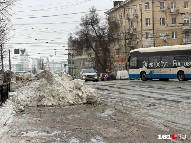 Замечательно | Источник: Евгений Вдовин / 161.RU