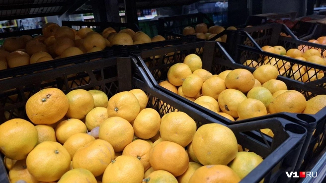 Тем временем «нормальные» мандарины расходятся в среднем до 139 рублей за килограмм | Источник: Тимофей Крылов / V1.RU