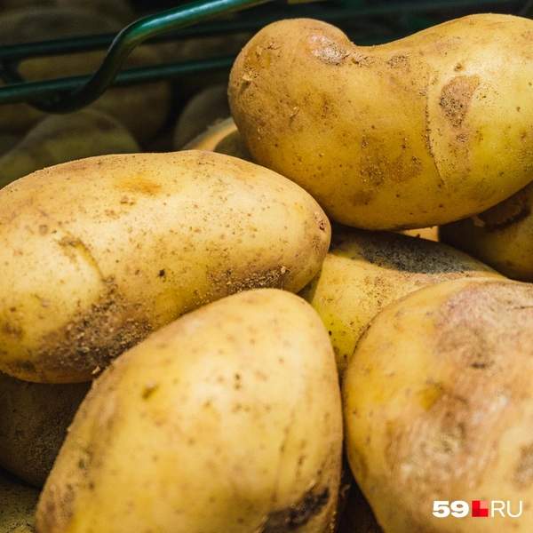 Картофель нового урожая | Источник: Тимофей Калмаков / 59.RU