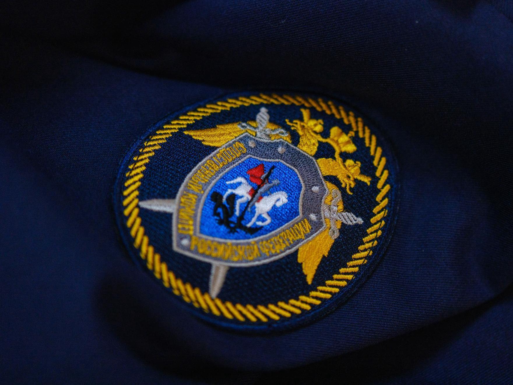 Бастрыкин затребовал доклад о травле школьницы в Спасске-Дальнем