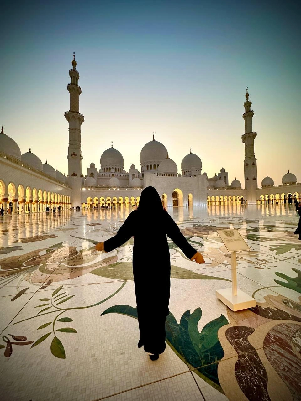 Источник: Яна Кренева / T.me 