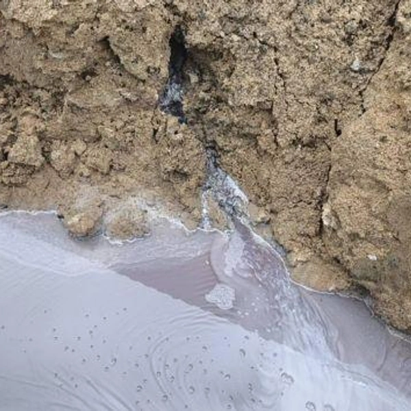 Источник: комитет госэконадзора Ленобласти