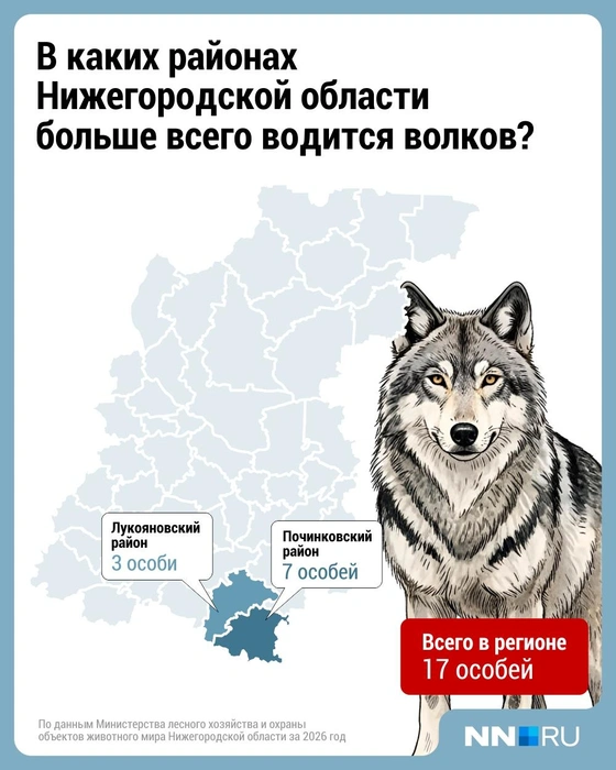 Источник: Городские медиа