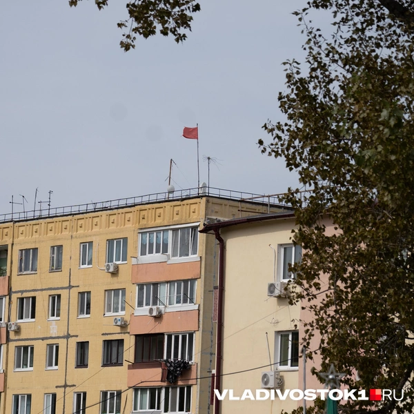 Источник: Елена Буйвол / VLADIVOSTOK1.RU