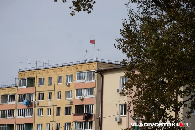 Источник: Елена Буйвол / VLADIVOSTOK1.RU