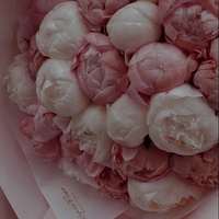 Аватарка Аноним