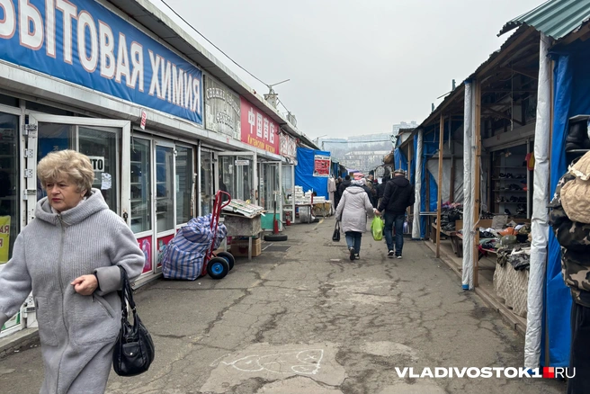 Источник: Елена Буйвол / VLADIVOSTOK1.RU