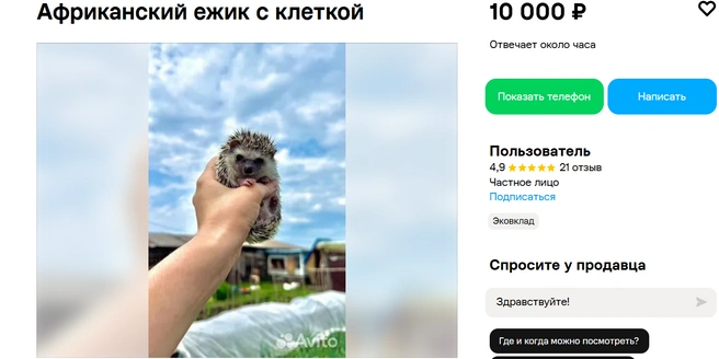 Источник: Авито