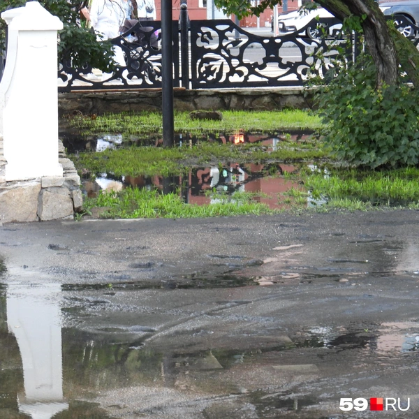 Лужи с фекалиями и на тротуарной плитке, и на газонах | Источник: Кирилл Хафизов / 59.RU