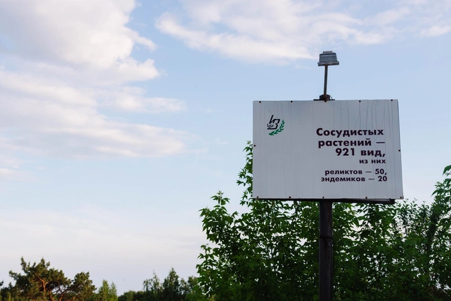 Источник: Центр детский экологический г. Челябинска