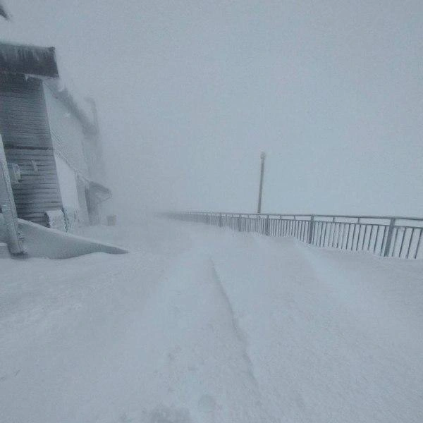 Источник: «Сочи Онлайн» (18+)