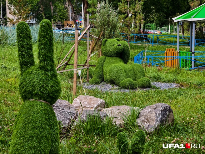 Зайцы как будто подсматривают | Источник: Булат Салихов / UFA1.RU