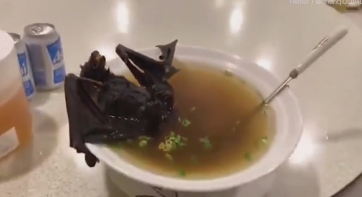 Эксперты полагают, что вспышку коронавируса вызвал популярный в Китае суп из летучих мышей
