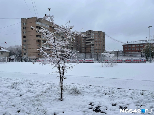 Еще недавно поле вокруг было укутано зеленой травой, а теперь… | Источник: Лера Городецкая / NGS42.RU