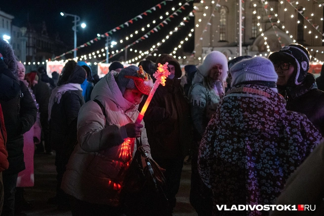 Источник: Елена Буйвол / VLADIVOSTOK1.RU