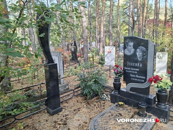 Источник: Алёна Воропаева / Voronezh1.ru