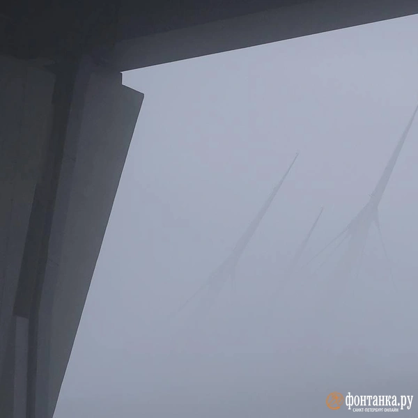 Источник: Дарья Драй/«Фонтанка.ру»