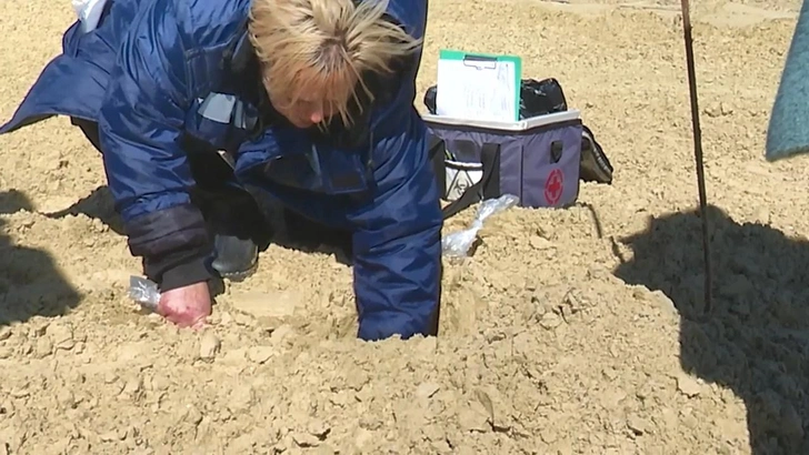 В Анапу завезли 40 тыс. тонн чистого песка из соседнего района. Решающее слово за Роспотребнадзором