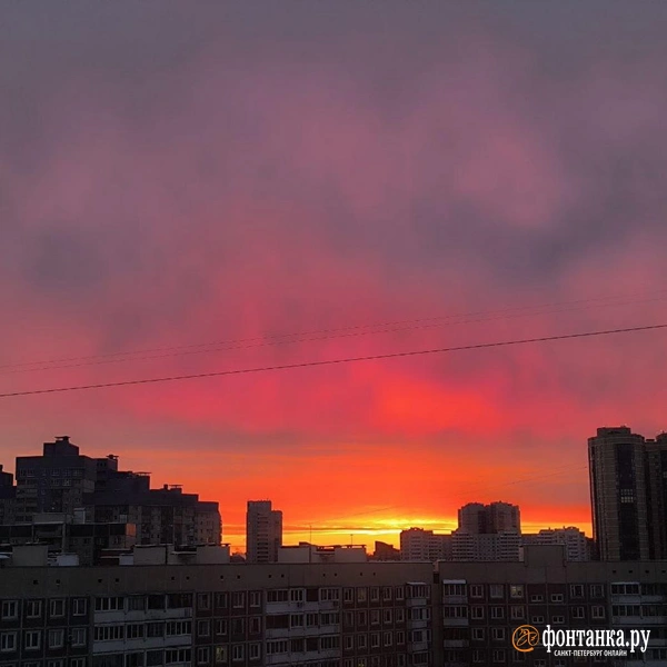 Источник: читатель «Фонтанки»