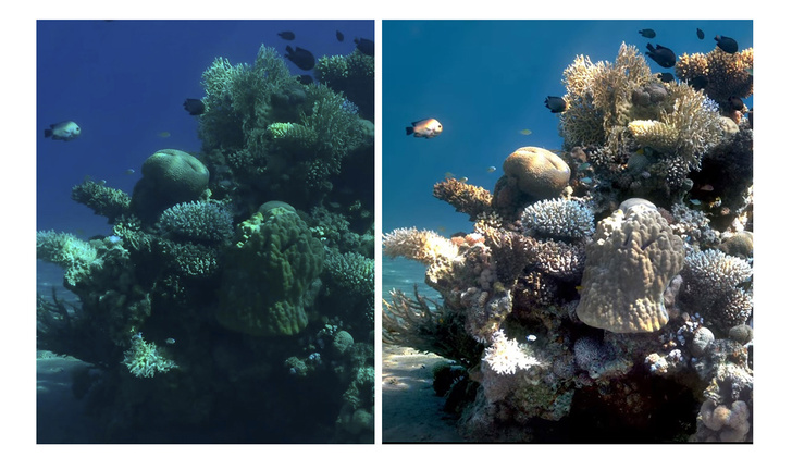 Как выглядят подводные фото, если убрать из них воду