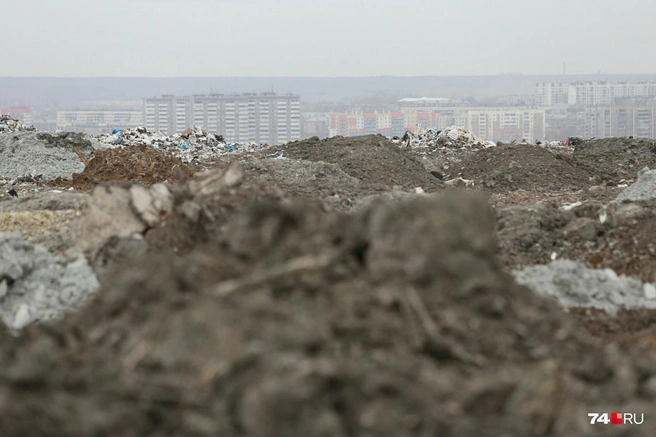 Сейчас закрытую свалку обслуживает компания, которая следит, чтобы на ней не было пожаров | Источник: Илья Бархатов