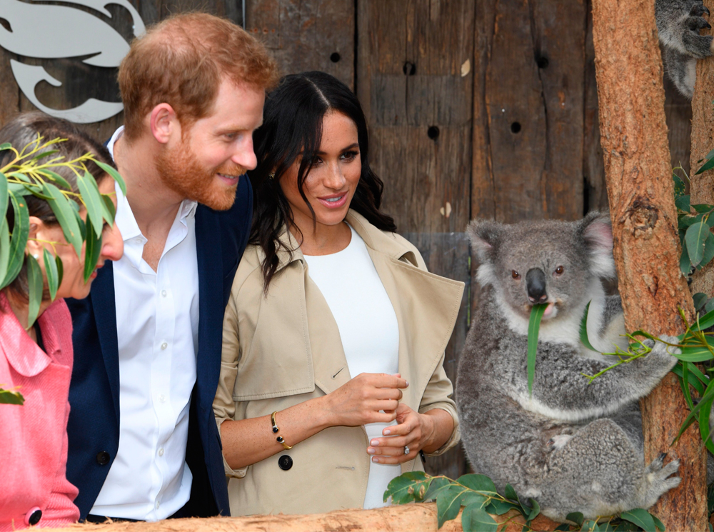 Гарри и Меган в туре по Австралии и Новой Зеландии, октябрь 2018 года | marieclaire.ru