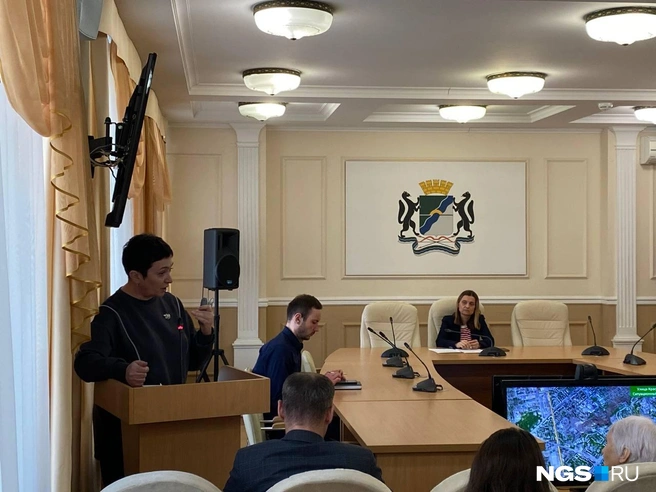 Специалисты планируют убрать 368 деревьев и кустарников | Источник: Анастасия Хрипушина / NGS.RU