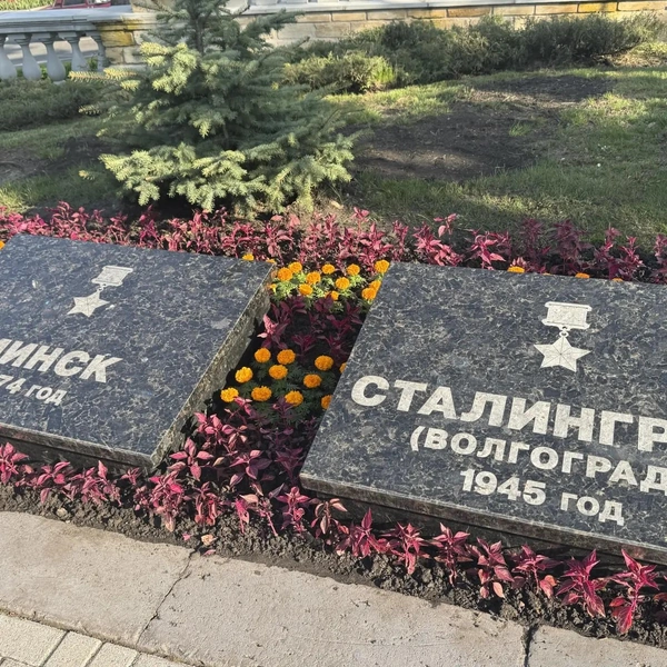 Источник: Дарья Гранкина / 26.RU 