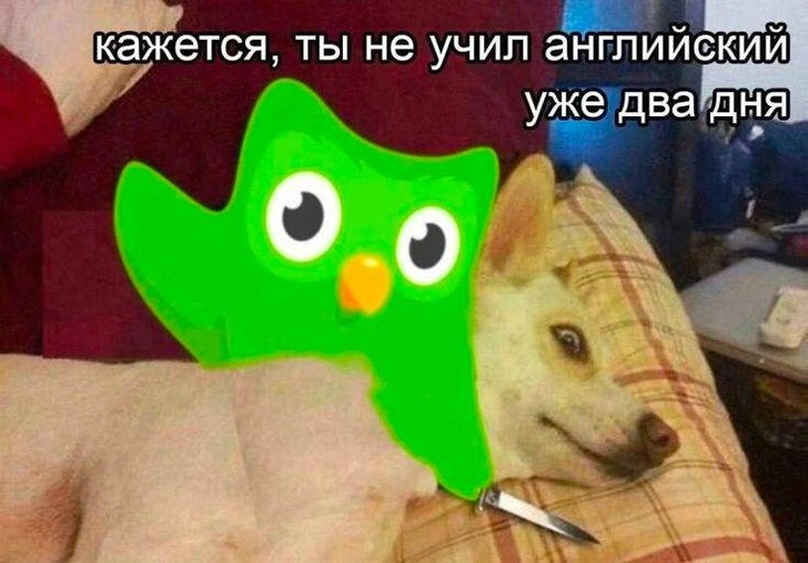 Источник: Соцсети