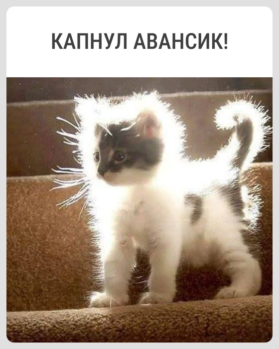 Аж день стал ярче | Источник: Городские медиа