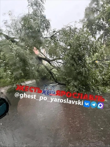 Ствол упал в районе ТЦ «Фараон» | Источник: Жесть Ярославль / MAX