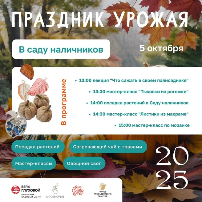 Вот афиша фестиваля  | Источник: Том Сойер Фест&nbsp;— Самара