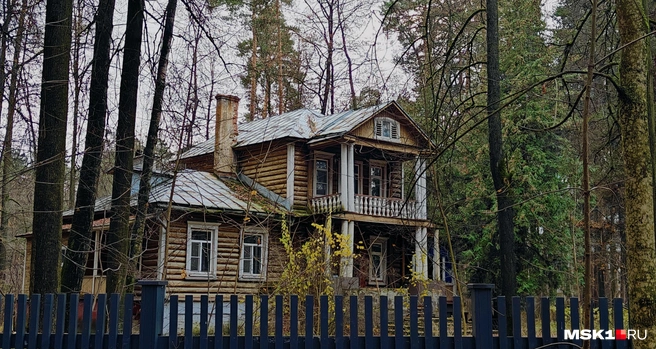 Источник: Полина Баранова / MSK1.RU