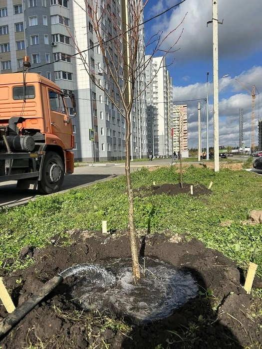Источник: lipetskcity.ru