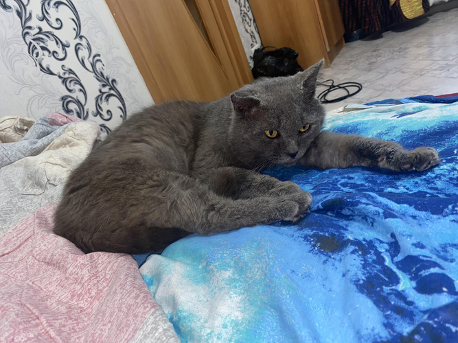 Изображение пользователя