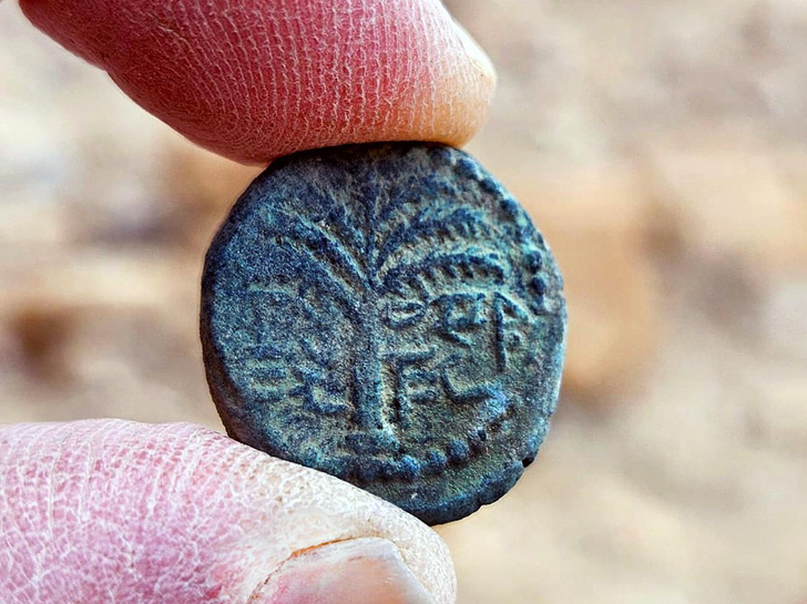 Нашли в убежище повстанцев: что за редкую монету с пальмой обнаружили израильские археологи?