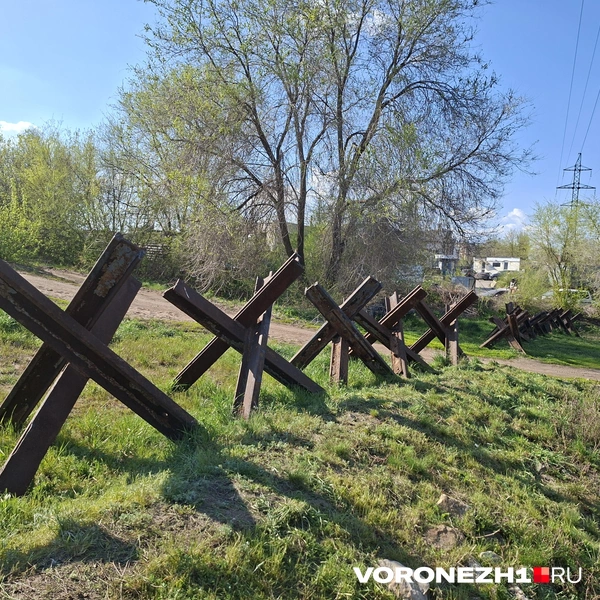 Источник: Алёна Воропаева / Voronezh1.ru