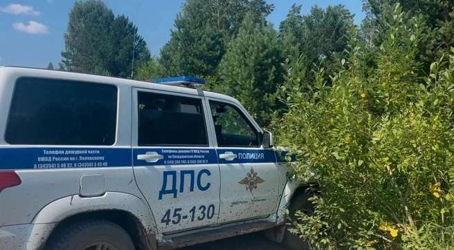 В Полевском районе нашли заблудившуюся грибницу | Источник: Свердловская полиция / MAX