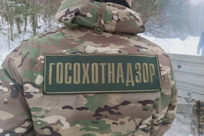 Суд взыскал 300 000 рублей за нарушение правил охоты