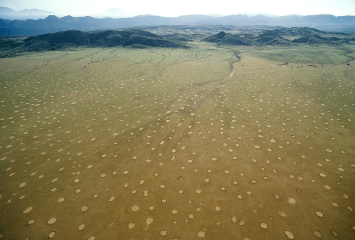 Ученые объяснили природу загадочных кругов в пустынях Намибии