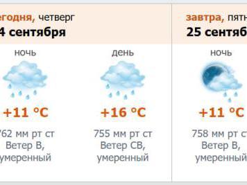 Петербург: дожди и тепло 24 сентября