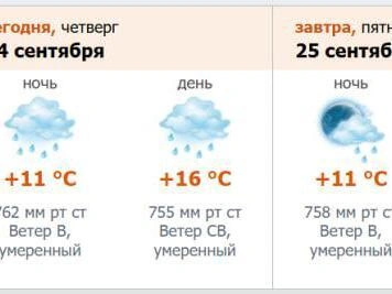 Источник: скриншот с meteo.nw.ru