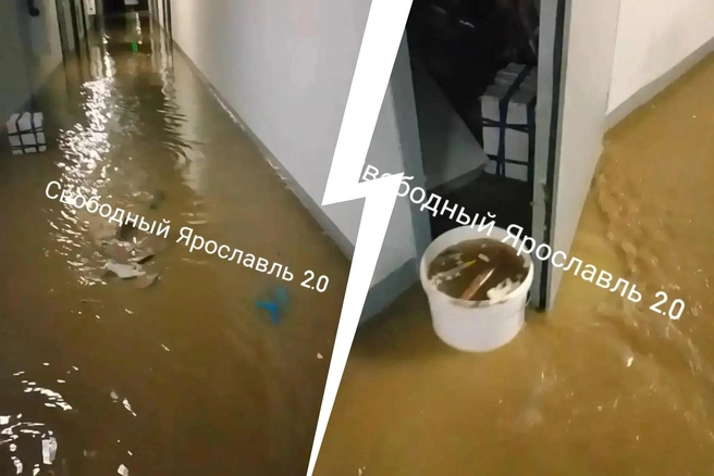 В Ярославле сильно затопило подвал новостройки — видео | Источник: Свободный Ярославль / Max