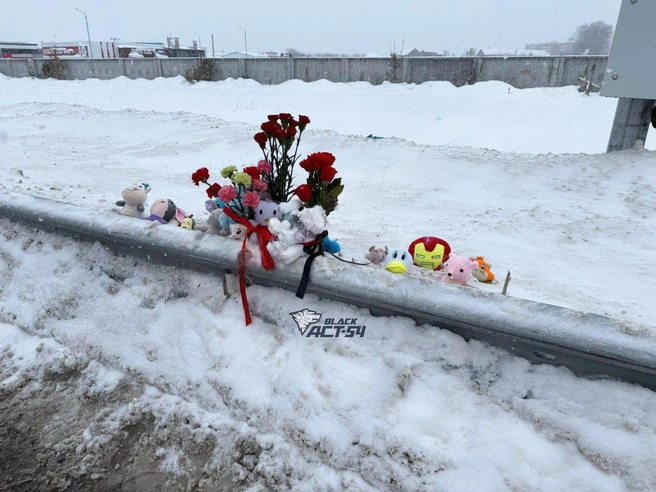 Место аварии на Советском шоссе стало стихийным мемориалом, куда люди приносили цветы и мягкие игрушки. | Источник: «ACT-54 Black» / Vk.com