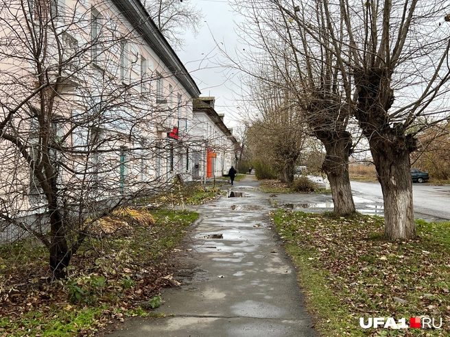 Одна из улиц города | Источник: Андрей Бирюков / UFA1.RU