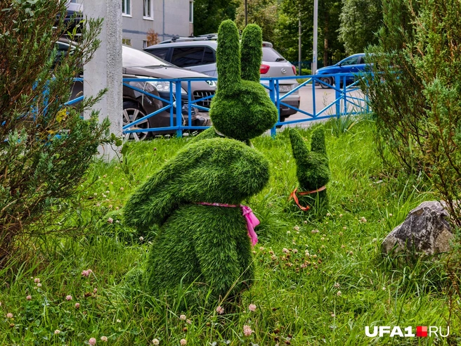 И с таким недоумением | Источник: Булат Салихов / UFA1.RU