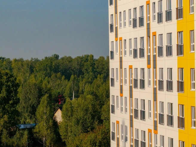 Жители ЖК получат ежедневную порцию умиротворения с видами из окон на смешанный лес | Источник: СЗ «ГРИНАГРОСТРОЙ»