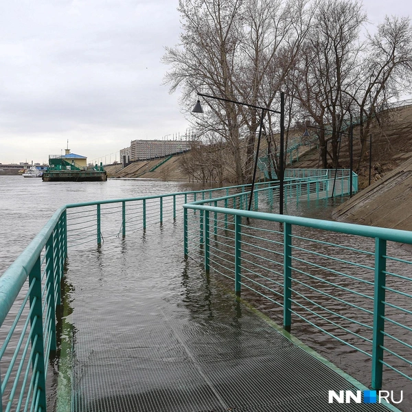Затопленная дорожка у площади Ленина | Источник: Наталья Бурухина / NN.RU