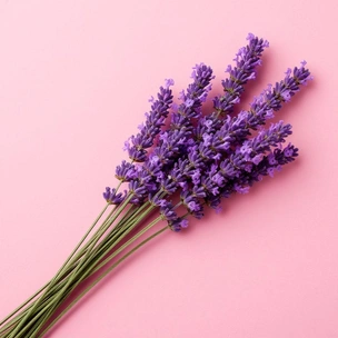 [тест] Выбери вкус протеинового батончика, и я скажу, что парням нравится в тебе