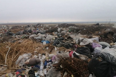 «Олерон» принудят убирать мусор в Борзинском районе через суд